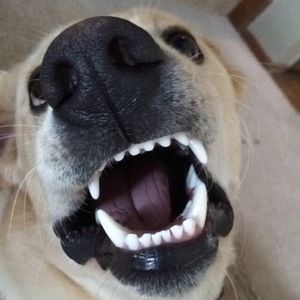 Meet your Posher, Kaylee